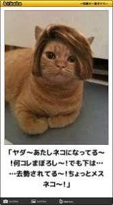 トピタイを考えてそれに合った画像を貼っていくトピ