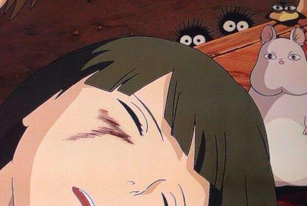 こっち見んな！な画像を淡々と貼っていくトピ