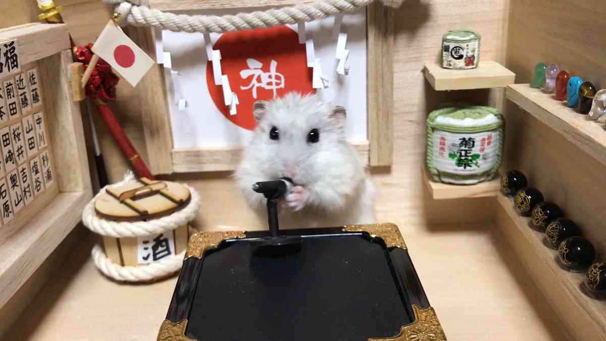 【画像】キャラクターたちによるコンサート