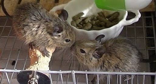 最近ときめいたことを教えてください☆