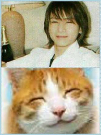 【実況・感想】LOVELOVEあいしてる