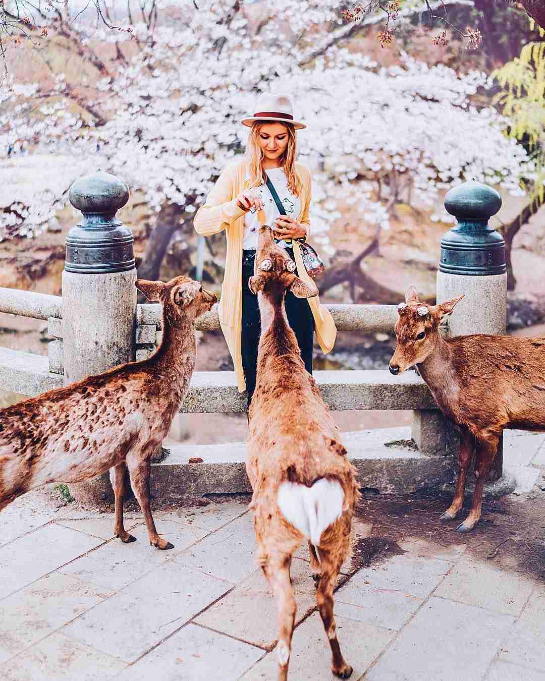 【インスタ映え】これが同じ現場だと!?プロの実力が違いすぎる写真が話題に！
