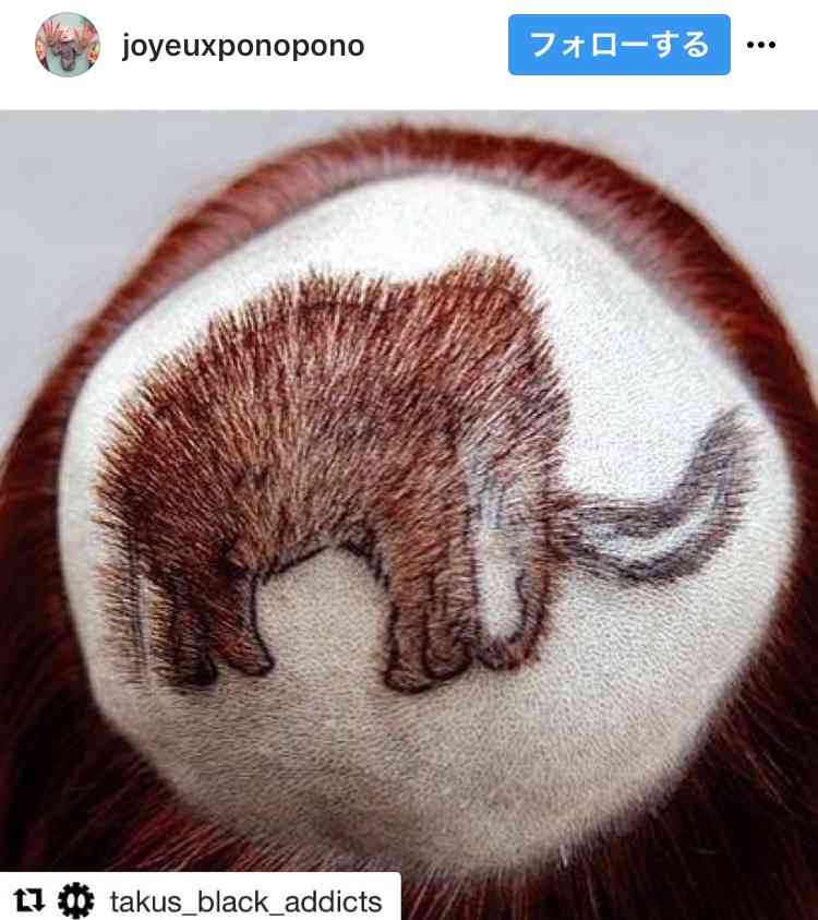 美容院に行くのでオススメの髪型画像下さい