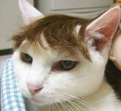 美容院に行くのでオススメの髪型画像下さい