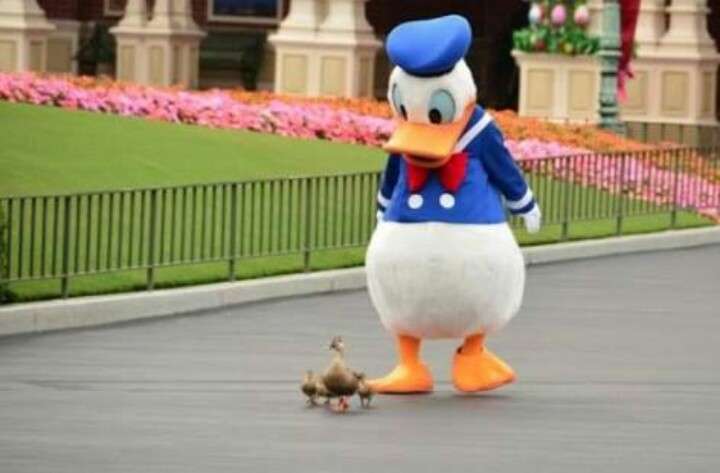 好きなディズニーキャラクターは誰ですか？