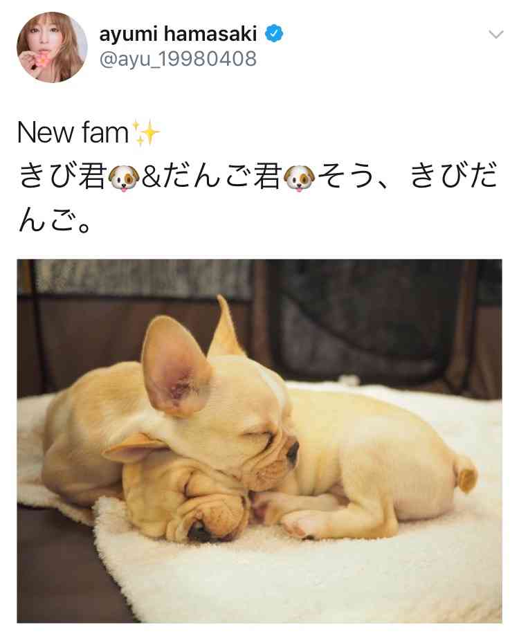 浜崎あゆみ&ワンちゃんのキュートなショット、思わぬ写り込みに視線が集まる…