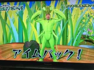 芸能人の妄想座席表