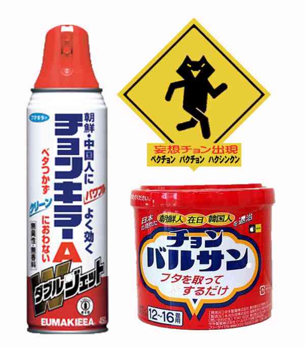 公演準備の態度に「差」…親日のアリアナ・グランデに韓国ファンは激怒
