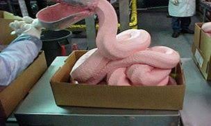 マクドナルド、鶏肉の抗生物質利用を日本含め全世界で抑制へ