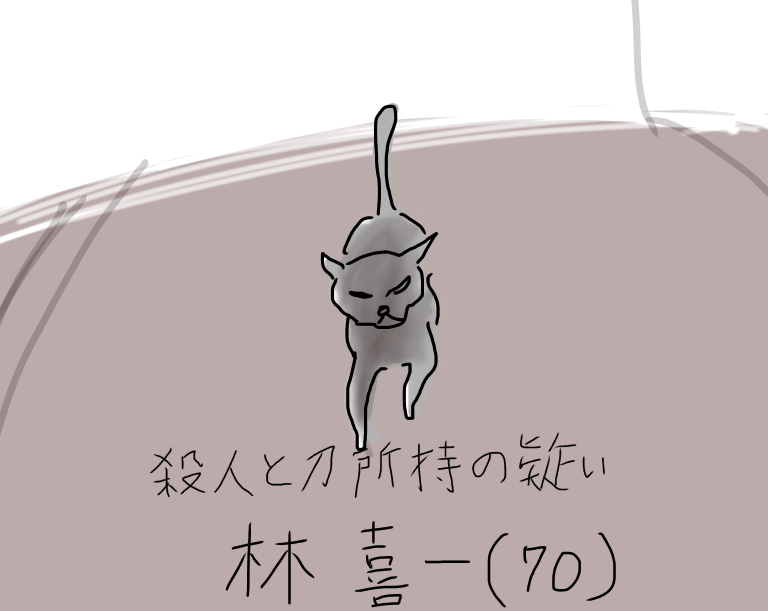 ガルちゃんでよく見る画像を記憶だけを頼りに描くトピpart6   