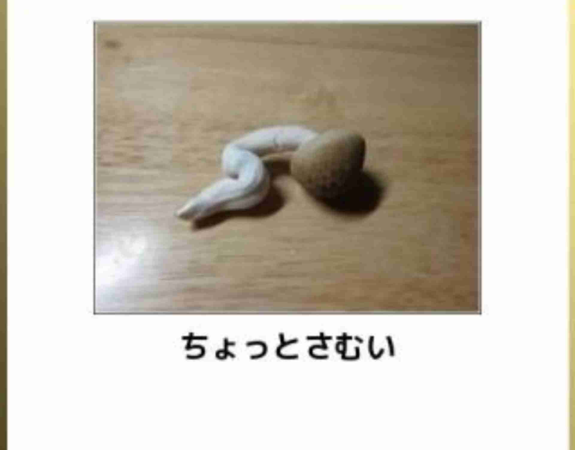 ガルちゃんでよく見る画像を記憶だけを頼りに描くトピpart6   