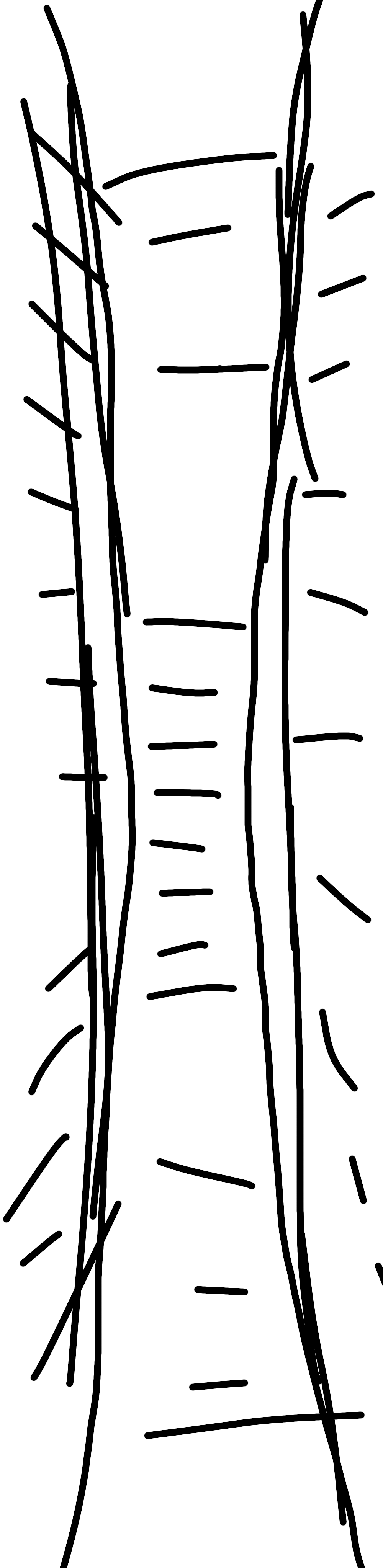 ガルちゃんでよく見る画像を記憶だけを頼りに描くトピpart6   