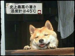 ガルちゃんでよく見る画像を記憶だけを頼りに描くトピpart6   