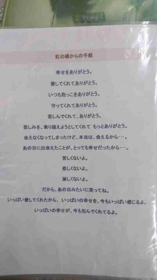 ペットの死