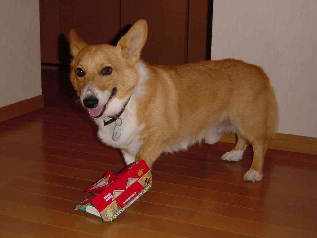 シュールなものが好きな人集まれ～