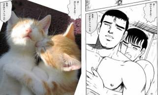 シュールなものが好きな人集まれ～