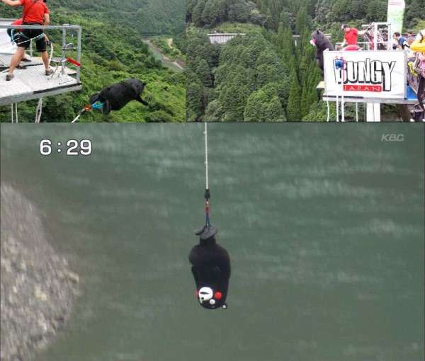 シュールなものが好きな人集まれ～