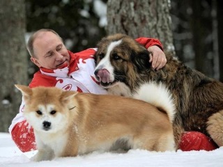 プーチン大統領の画像が集まるトピ