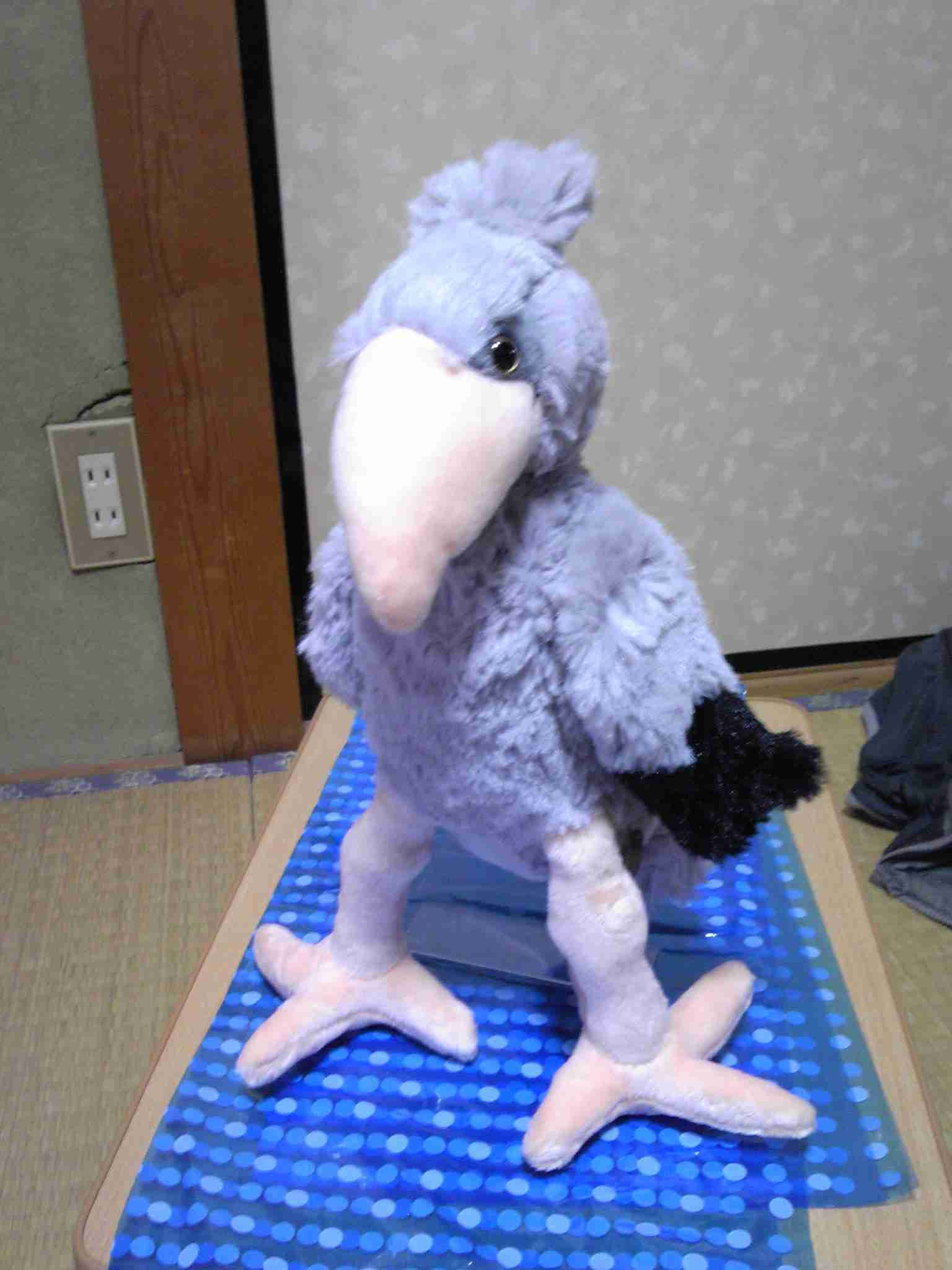 プーチン大統領の画像が集まるトピ