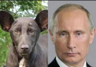 プーチン大統領の画像が集まるトピ