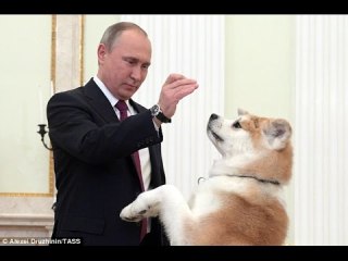 プーチン大統領の画像が集まるトピ