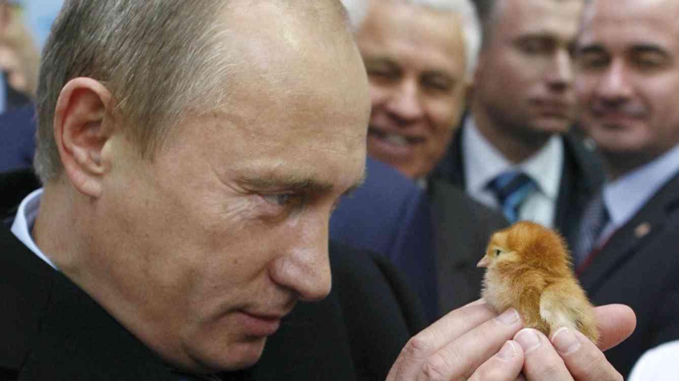 プーチン大統領の画像が集まるトピ