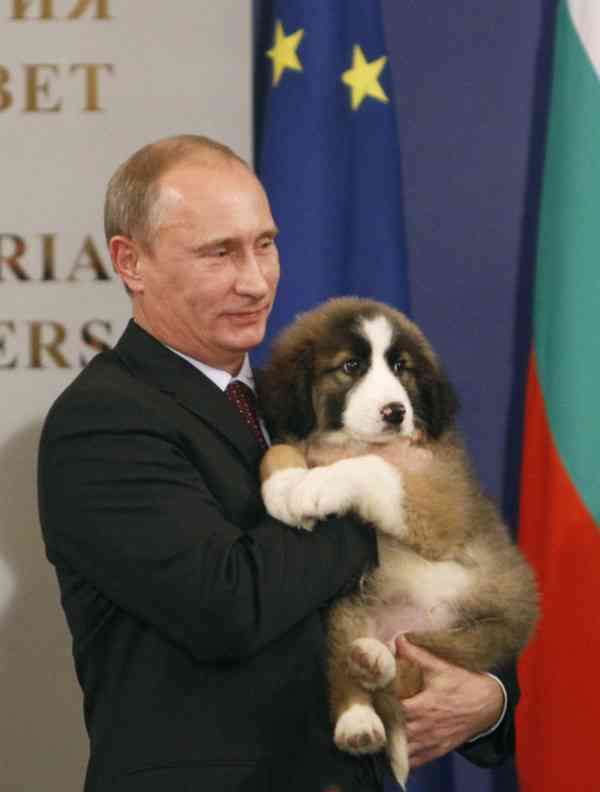 プーチン大統領の画像が集まるトピ