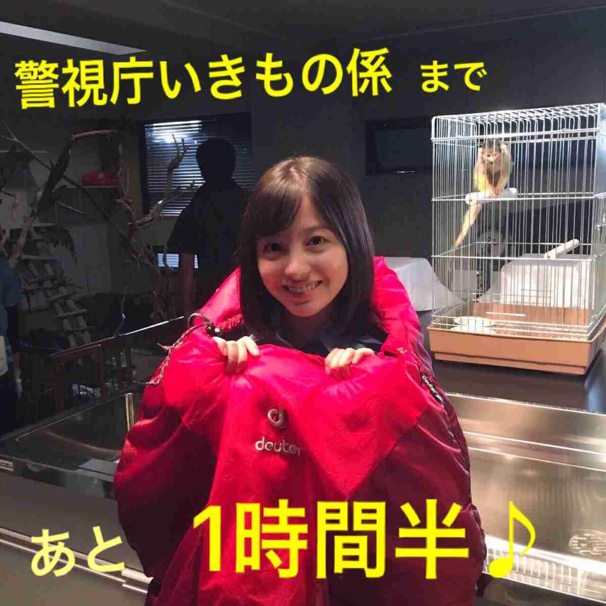日本人俳優、女優の演技力がハリウッドで通用しそうな人