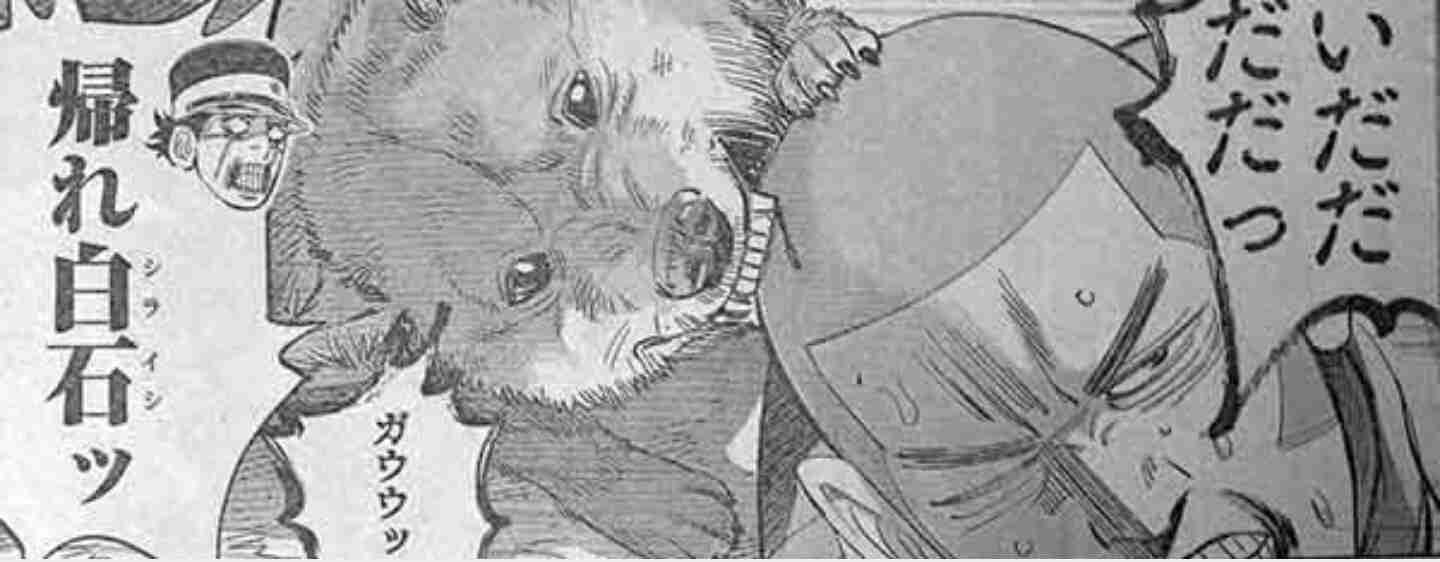 「ゴールデンカムイ」好きな人語りませんか♪