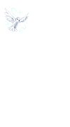 もし1度だけ魔法が使えたら何をお願いしますか?