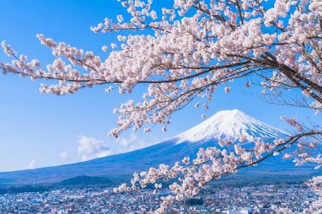 日本人で良かった！と思う瞬間。
