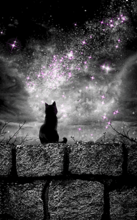 星空に癒されたい