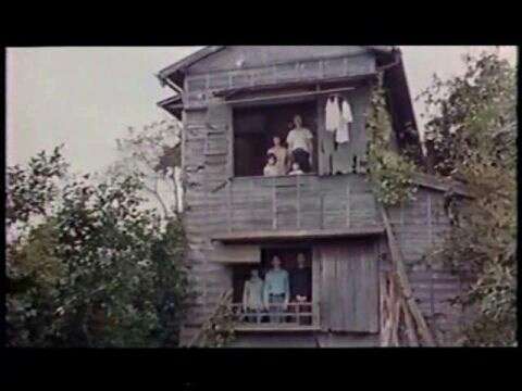 Twitterについて教えてください