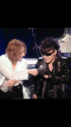 芸能人の本名、知らなかったら＋