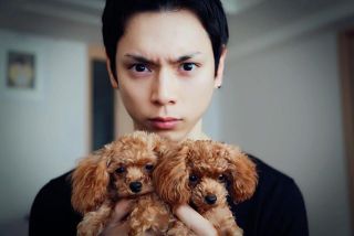 芸能人の本名、知らなかったら＋