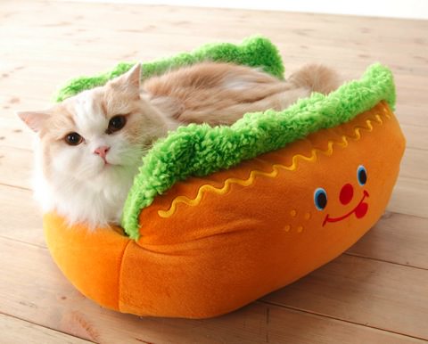 ガルちゃん猫カフェ18号店 開店しました♪ (初めての方も大歓迎！)