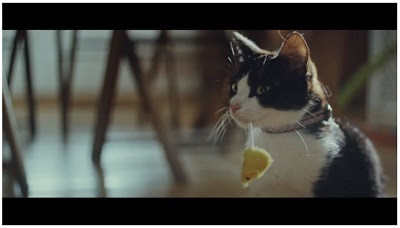 ガルちゃん猫カフェ18号店 開店しました♪ (初めての方も大歓迎！)
