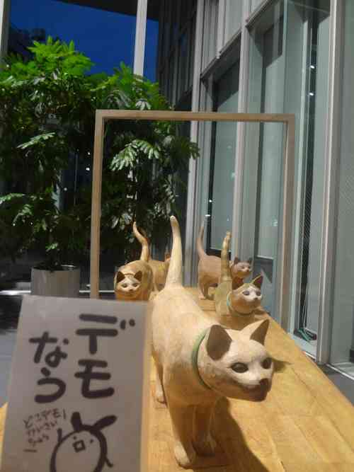 ガルちゃん猫カフェ18号店 開店しました♪ (初めての方も大歓迎！)