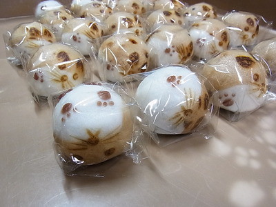 ガルちゃん猫カフェ18号店 開店しました♪ (初めての方も大歓迎！)