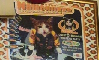 ガルちゃん猫カフェ18号店 開店しました♪ (初めての方も大歓迎！)
