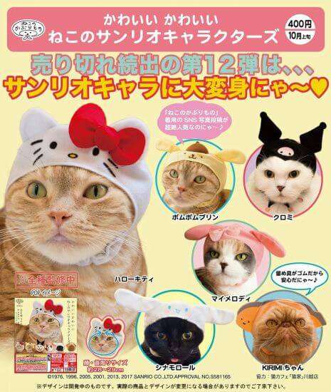 ガルちゃん猫カフェ18号店 開店しました♪ (初めての方も大歓迎！)