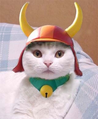 ガルちゃん猫カフェ18号店 開店しました♪ (初めての方も大歓迎！)