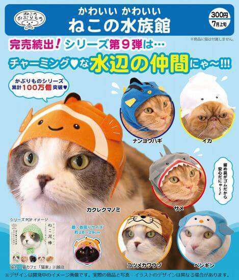 ガルちゃん猫カフェ18号店 開店しました♪ (初めての方も大歓迎！)