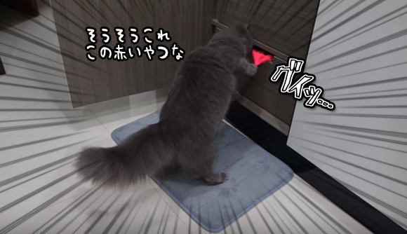 ガルちゃん猫カフェ18号店 開店しました♪ (初めての方も大歓迎！)