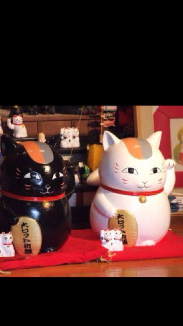 ガルちゃん猫カフェ18号店 開店しました♪ (初めての方も大歓迎！)