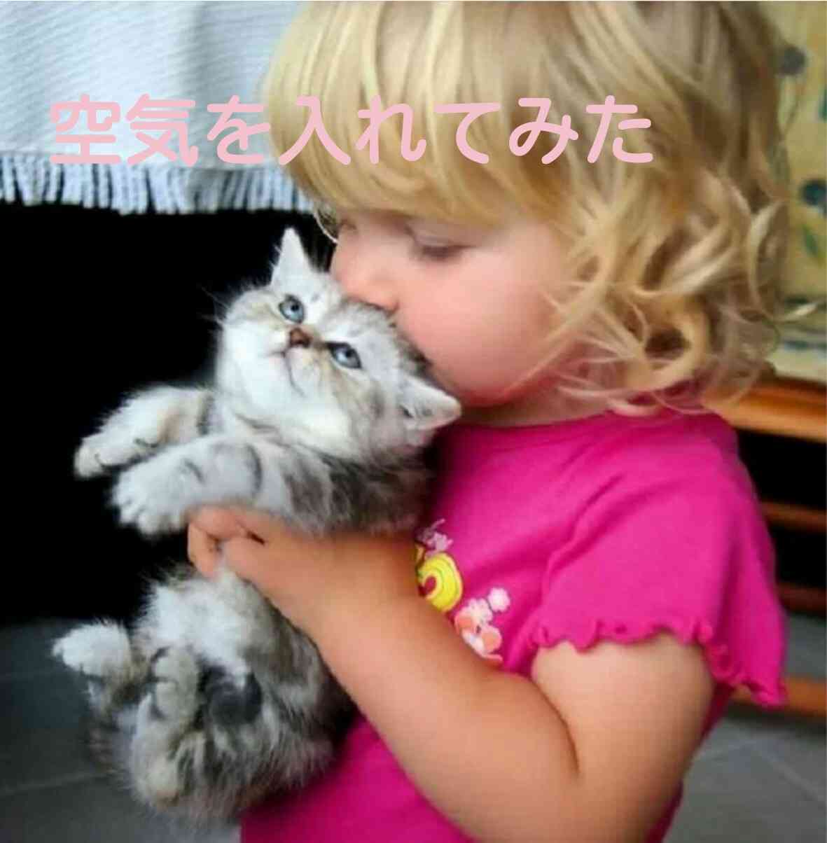 ガルちゃん猫カフェ18号店 開店しました♪ (初めての方も大歓迎！)