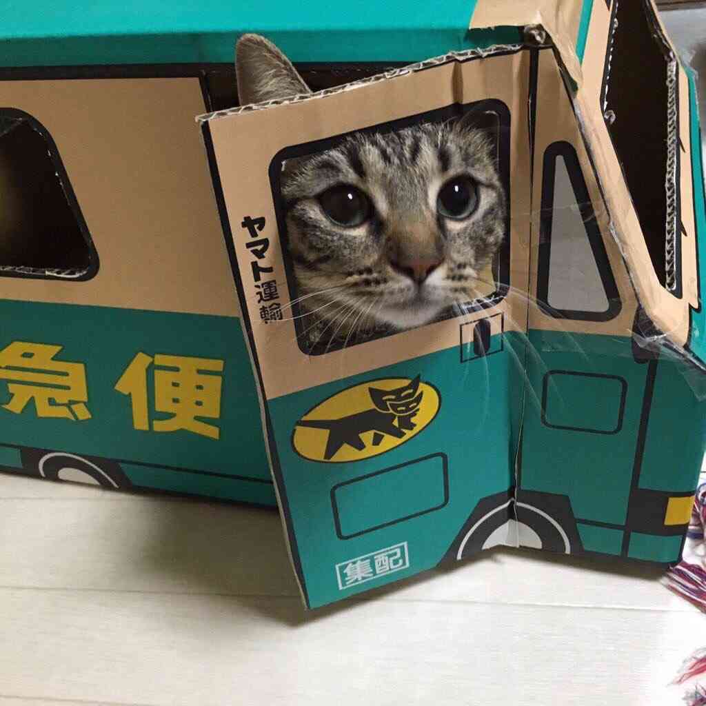 ガルちゃん猫カフェ18号店 開店しました♪ (初めての方も大歓迎！)