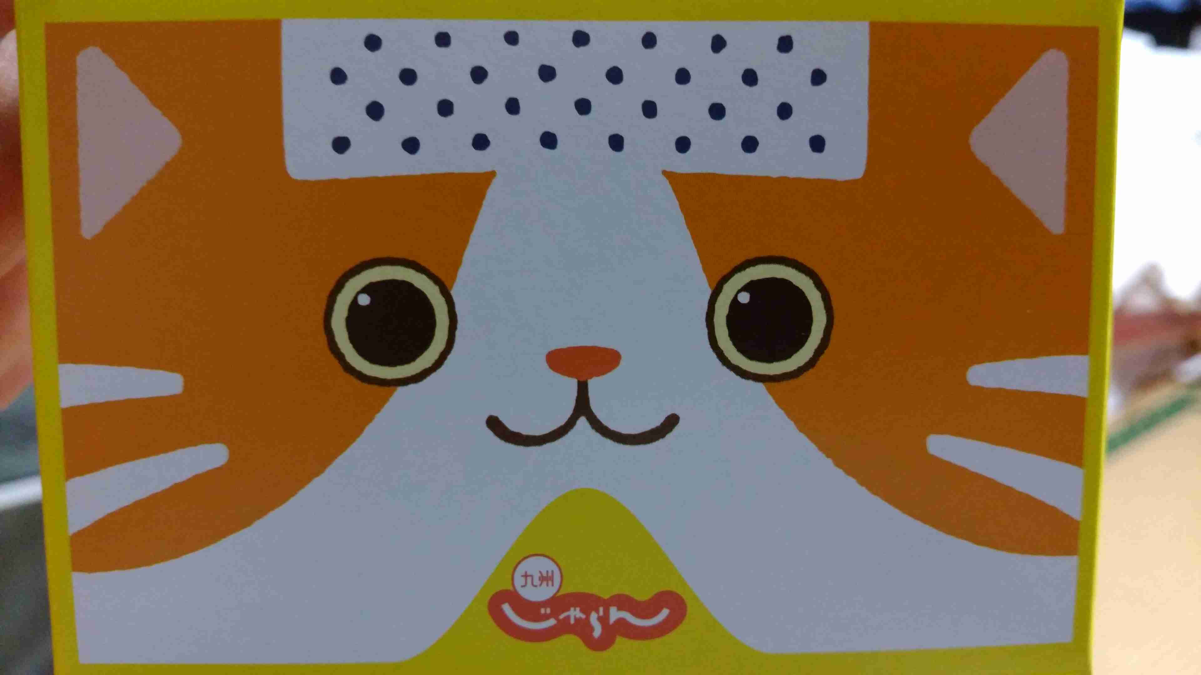 ガルちゃん猫カフェ18号店 開店しました♪ (初めての方も大歓迎！)