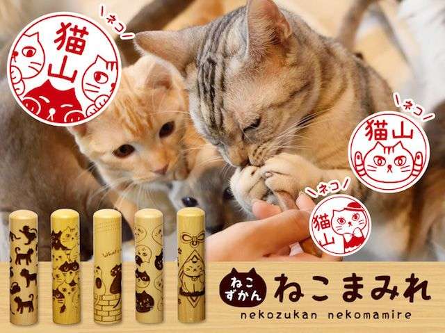 ガルちゃん猫カフェ18号店 開店しました♪ (初めての方も大歓迎！)