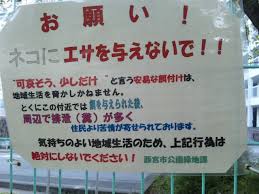 夫婦仲が悪い両親のもとで育った人の結婚願望。